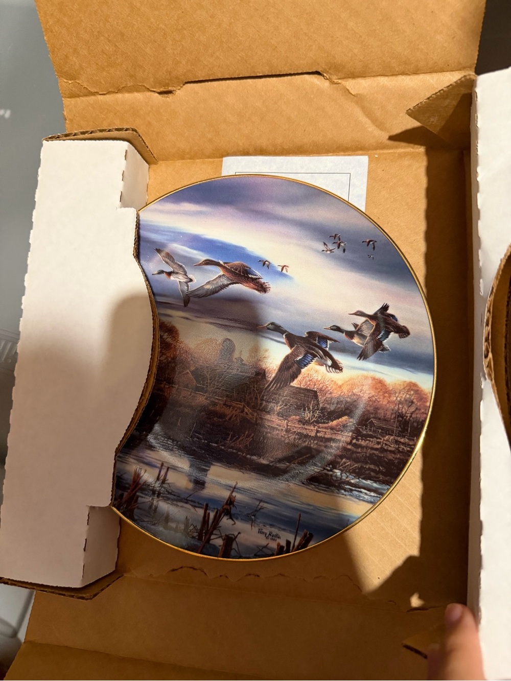Spring Thaw by Terry Redlin Decretive plate- White